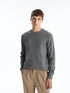LC Waikiki Crew Neck Long Sleeve Men's Tricot Sweater
